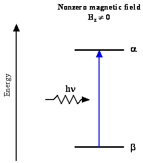 A simple diagram of the absorption of energy causing a transition between the low energy beta state and the upper energy alpha state.
